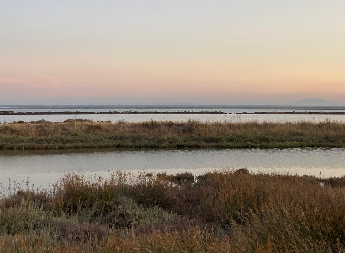 Domenica sera: il momento più fragile della settimana